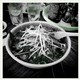Pho Tam Restaurant