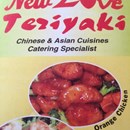 New Love Teriyaki photo by EChi G.