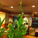 Mongolian Bbq photo by Terry L.