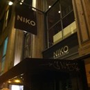 Niko photo by Kirk L.
