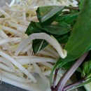Rice King Noodle photo by Brady K.