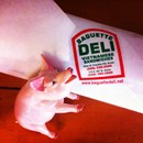 Baguette Deli photo by Jake S.