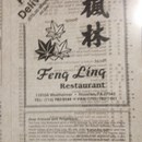 Feng Ling Restaurant photo by Angela D.