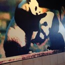 Panda Express photo by Debbie