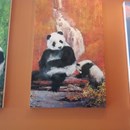 Panda Express photo by DJ V.