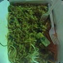 Pad Thai Kitchen photo by Esther Leclerc