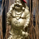 China Dynasty Chinese Restaurant photo by Shayne C.
