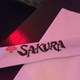 Sakura 7