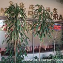 Won Kee Seafood Restaurant photo by Michael Ching