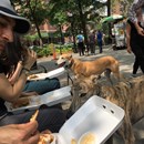 NY Dosas photo by Ted Palenski