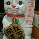 See Thru Chinese Kitchen photo by Knick Banas