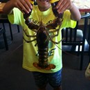Lobster King photo by 2 Teks