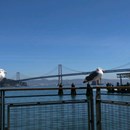 The Slanted Door photo by Frank Diebold