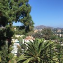 Yamashiro Farmers Market photo by Hopegrown