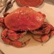 Crustacean Restaurant